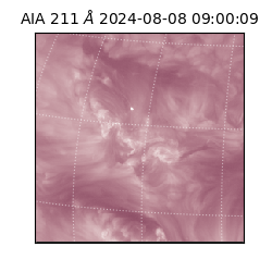 saia - 2024-08-08T09:00:09.631000