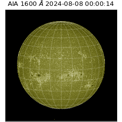 saia - 2024-08-08T00:00:14.132000