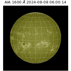 saia - 2024-08-08T06:00:14.126000