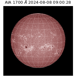 saia - 2024-08-08T09:00:28.718000