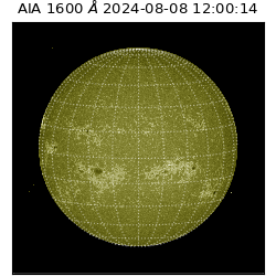 saia - 2024-08-08T12:00:14.134000