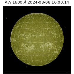 saia - 2024-08-08T16:00:14.126000