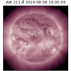 saia - 2024-08-08T19:00:09.625000