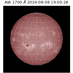 saia - 2024-08-08T19:00:28.719000