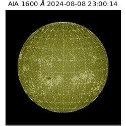 saia - 2024-08-08T23:00:14.125000