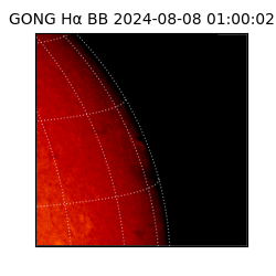 gong - 2024-08-08T01:00:02