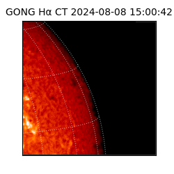 gong - 2024-08-08T15:00:42