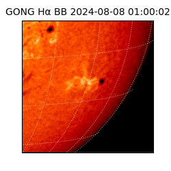 gong - 2024-08-08T01:00:02