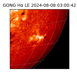 gong - 2024-08-08T03:00:42