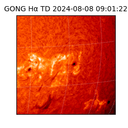 gong - 2024-08-08T09:01:22