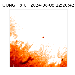 gong - 2024-08-08T12:20:42