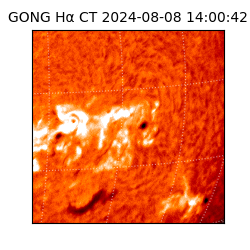 gong - 2024-08-08T14:00:42