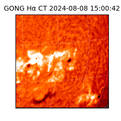 gong - 2024-08-08T15:00:42