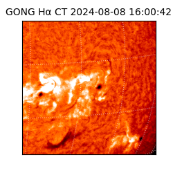 gong - 2024-08-08T16:00:42