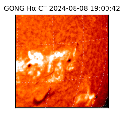 gong - 2024-08-08T19:00:42