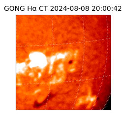 gong - 2024-08-08T20:00:42