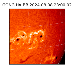 gong - 2024-08-08T23:00:02