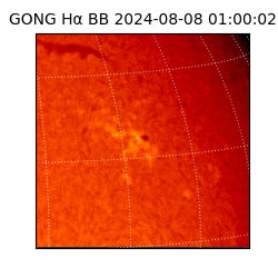 gong - 2024-08-08T01:00:02