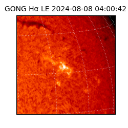 gong - 2024-08-08T04:00:42