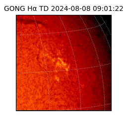 gong - 2024-08-08T09:01:22