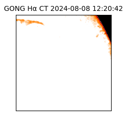 gong - 2024-08-08T12:20:42