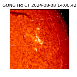 gong - 2024-08-08T14:00:42