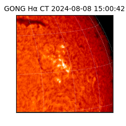gong - 2024-08-08T15:00:42