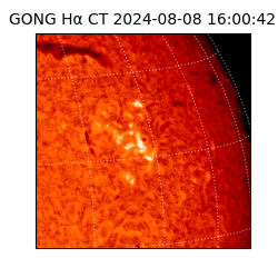 gong - 2024-08-08T16:00:42