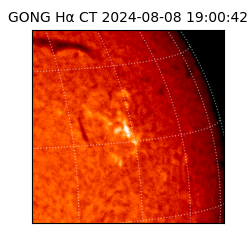 gong - 2024-08-08T19:00:42