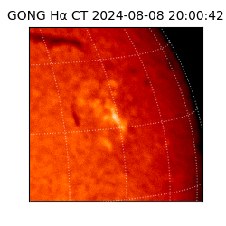 gong - 2024-08-08T20:00:42