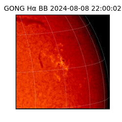 gong - 2024-08-08T22:00:02