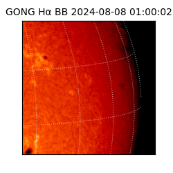 gong - 2024-08-08T01:00:02