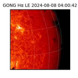 gong - 2024-08-08T04:00:42