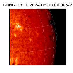 gong - 2024-08-08T06:00:42