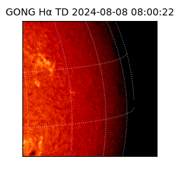 gong - 2024-08-08T08:00:22