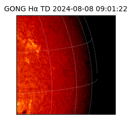 gong - 2024-08-08T09:01:22