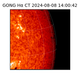 gong - 2024-08-08T14:00:42