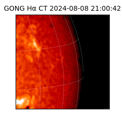gong - 2024-08-08T21:00:42