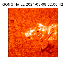 gong - 2024-08-08T02:00:42