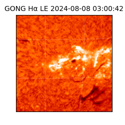 gong - 2024-08-08T03:00:42