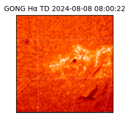 gong - 2024-08-08T08:00:22