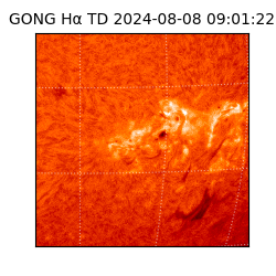 gong - 2024-08-08T09:01:22