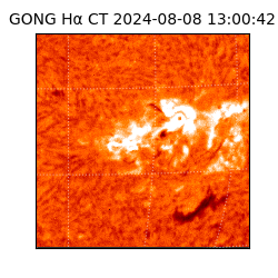 gong - 2024-08-08T13:00:42