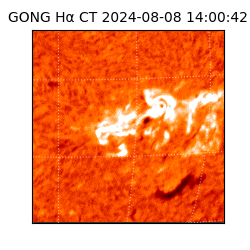 gong - 2024-08-08T14:00:42