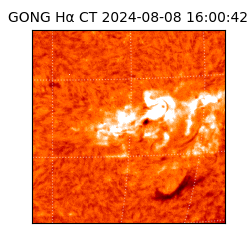 gong - 2024-08-08T16:00:42