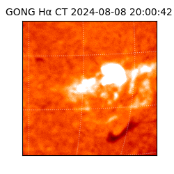 gong - 2024-08-08T20:00:42