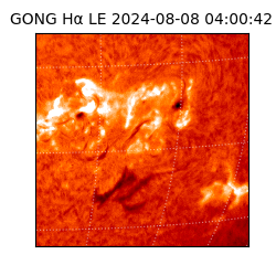 gong - 2024-08-08T04:00:42