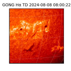 gong - 2024-08-08T08:00:22