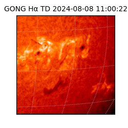 gong - 2024-08-08T11:00:22