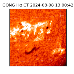 gong - 2024-08-08T13:00:42